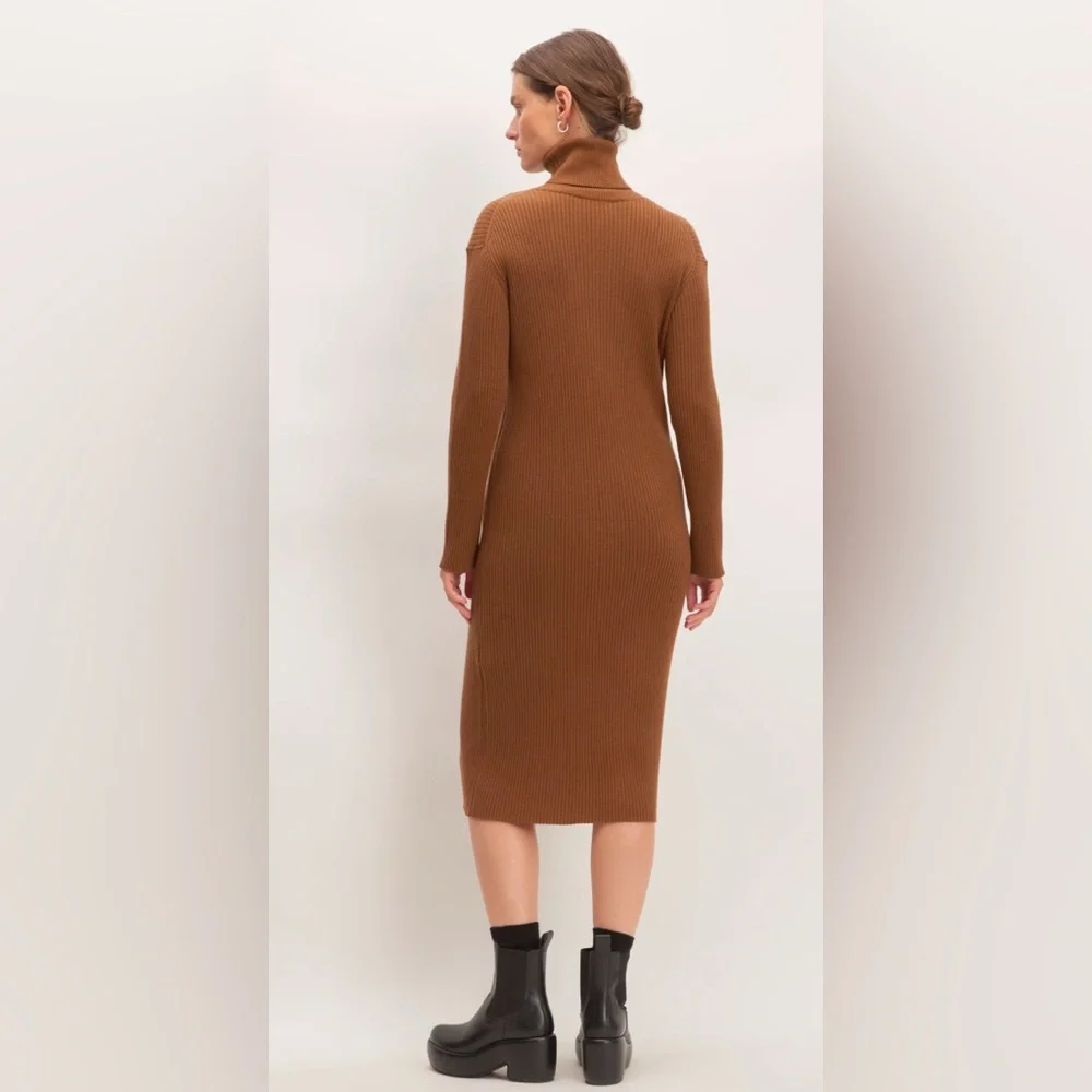Everlane | Medium Burnt Orange Camel Cotton Wool Turtleneck Dress - Picture 4 of 9